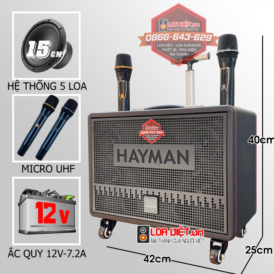 Loa xách tay HAYMAN X8-6
