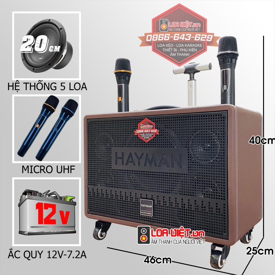 Loa xách tay HAYMAN X8-8